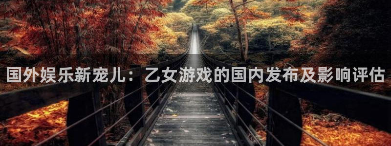 高德娱乐注册服务条款：国外娱乐新宠儿：乙女游戏的国内发布及影