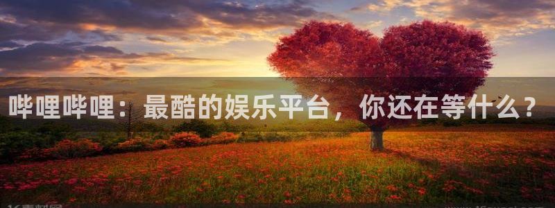 高德娱乐注册：哔哩哔哩：最酷的娱乐平台，你还在等什么？