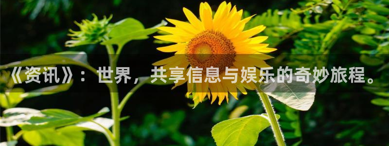 高德娱乐平台官网注册：《资讯》：世界，共享信息与娱乐的奇妙旅