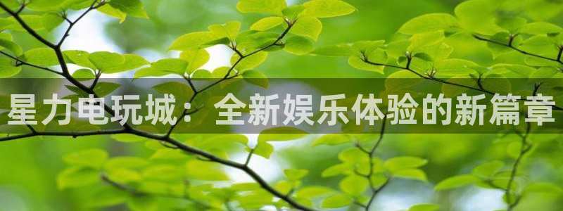 高德娱乐网页版地址：星力电玩城：全新娱乐体验的新篇章