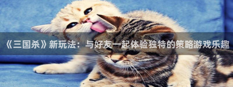 高德娱乐注册地址：《三国杀》新玩法：与好友一起体验独特的策略