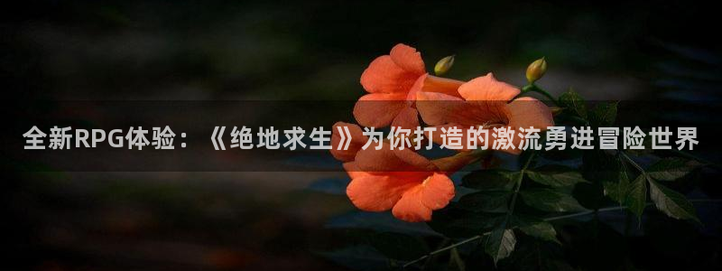 高德娱乐是什么：全新RPG体验：《绝地求生》为你打造的激流勇