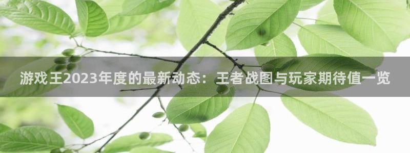 高德娱乐Ii：游戏王2023年度的最新动态：王者战图与玩家期