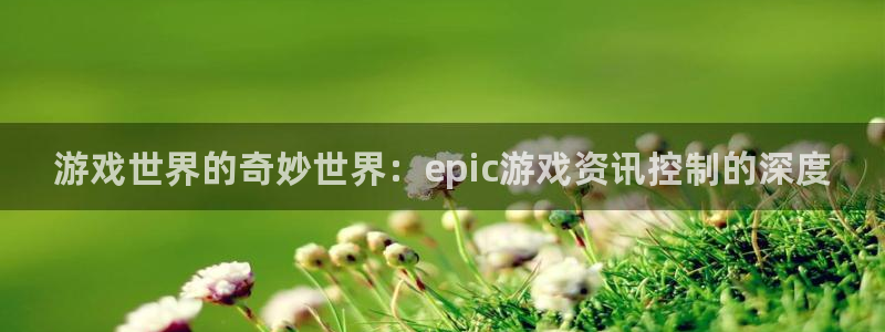 高德娱乐什么意思